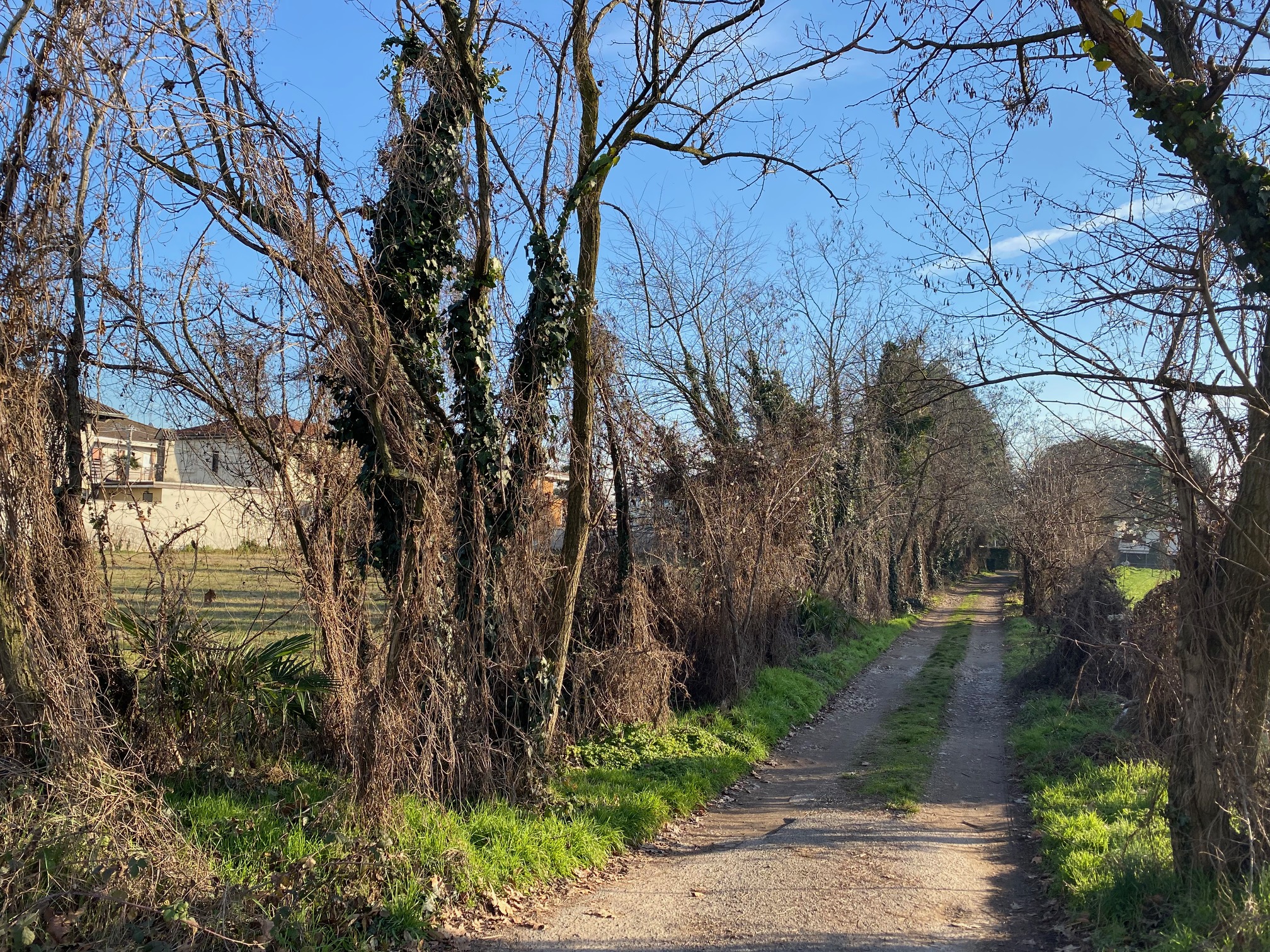 TERRENO EDIFICABILE A BUSTO ARSIZIO